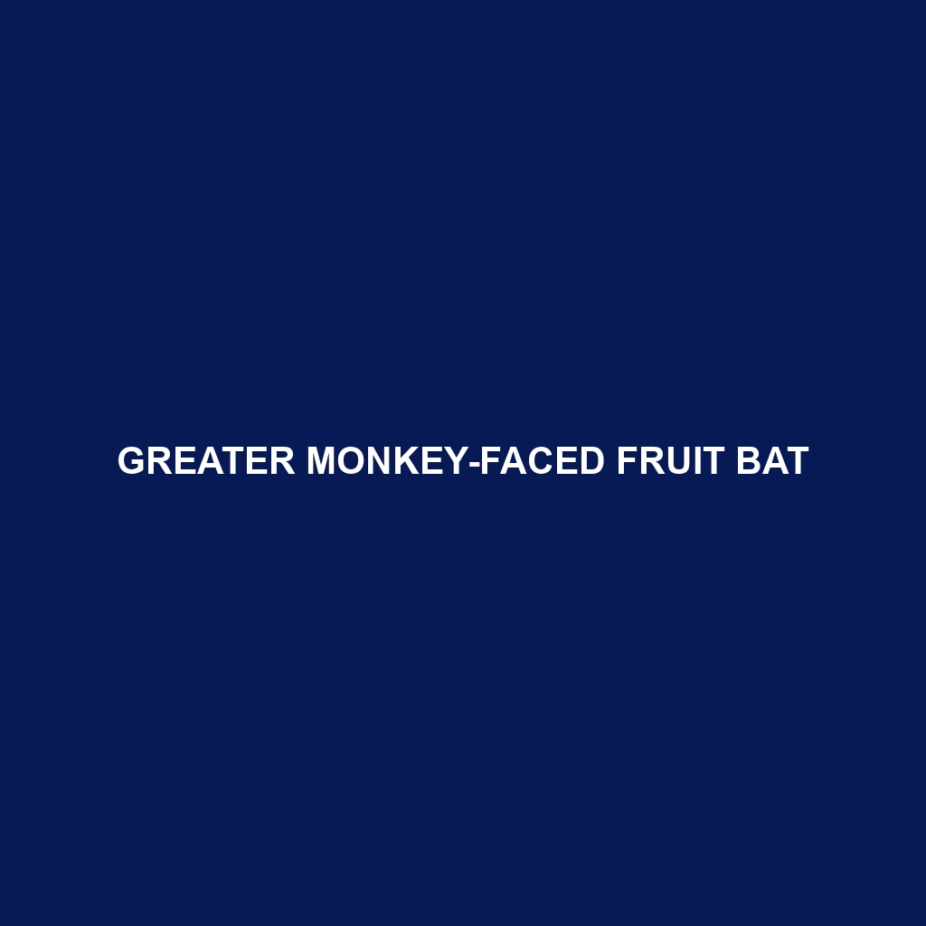 Greater Monkey-faced Fruit Bat