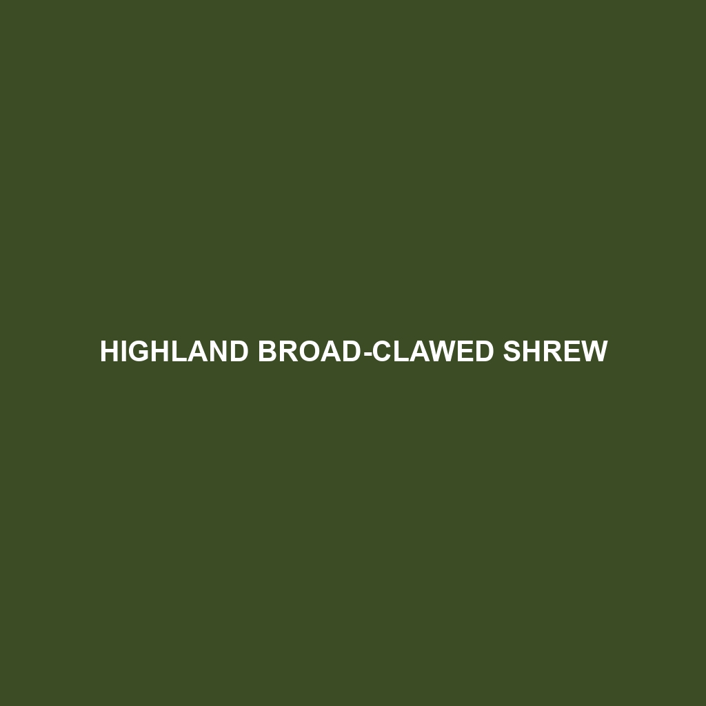 Highland Broad-clawed Shrew