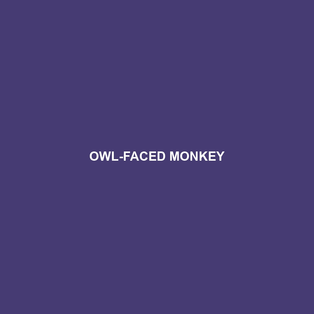 Owl-faced Monkey