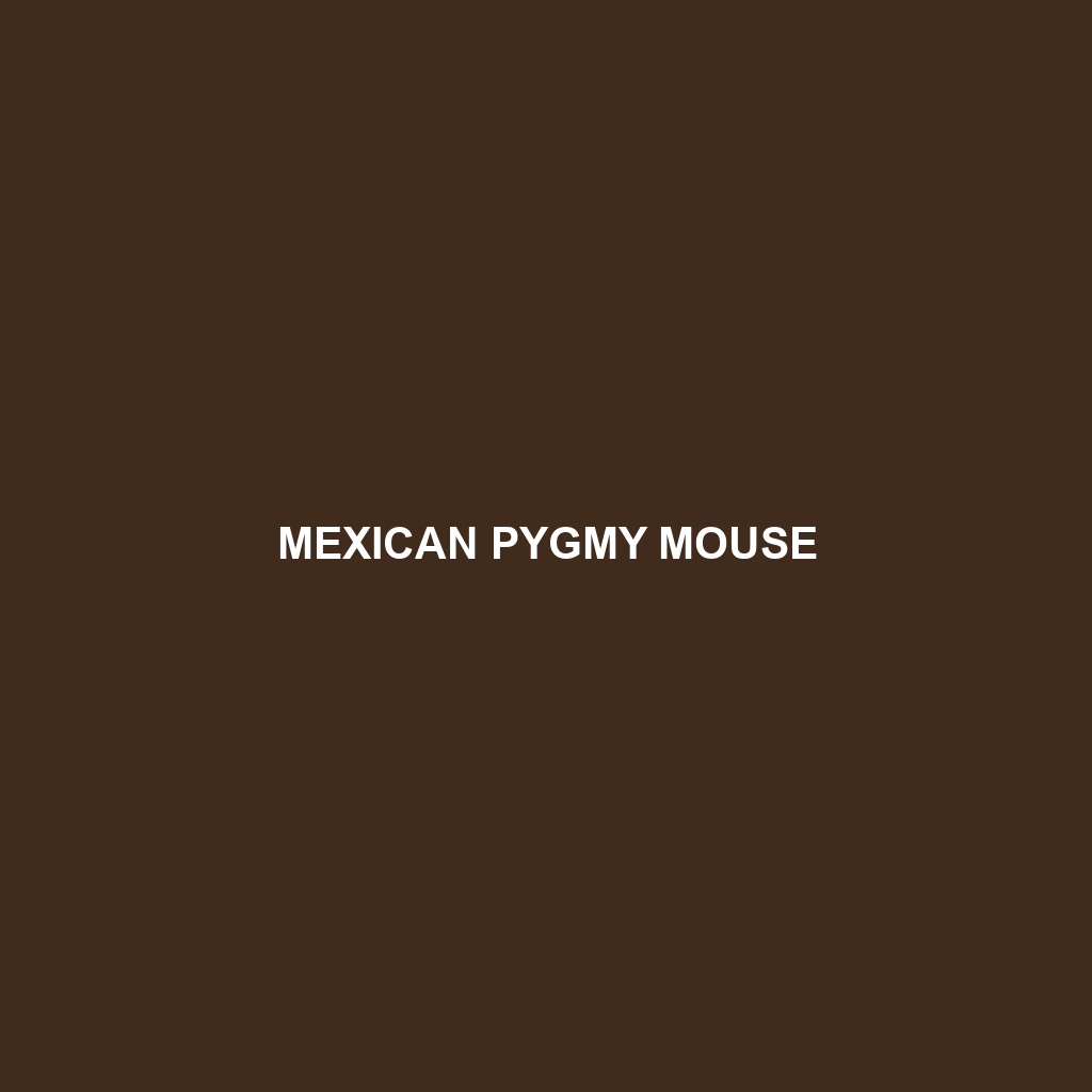 Mexican Pygmy Mouse