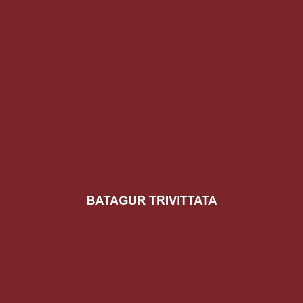 Batagur trivittata