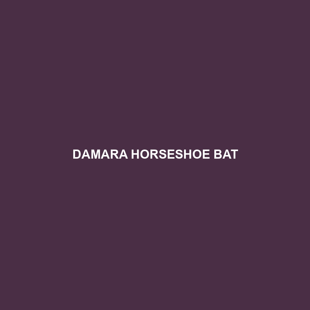 Damara Horseshoe Bat