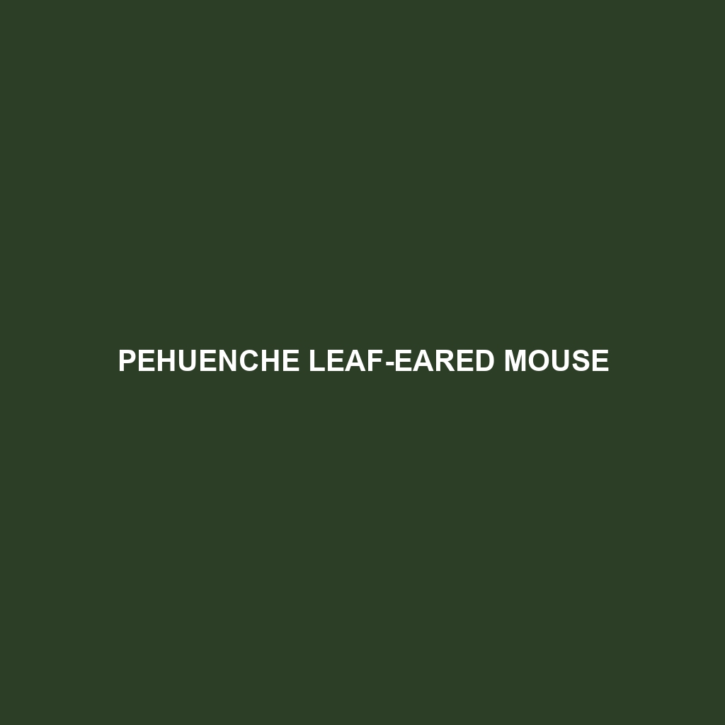 Pehuenche Leaf-eared Mouse