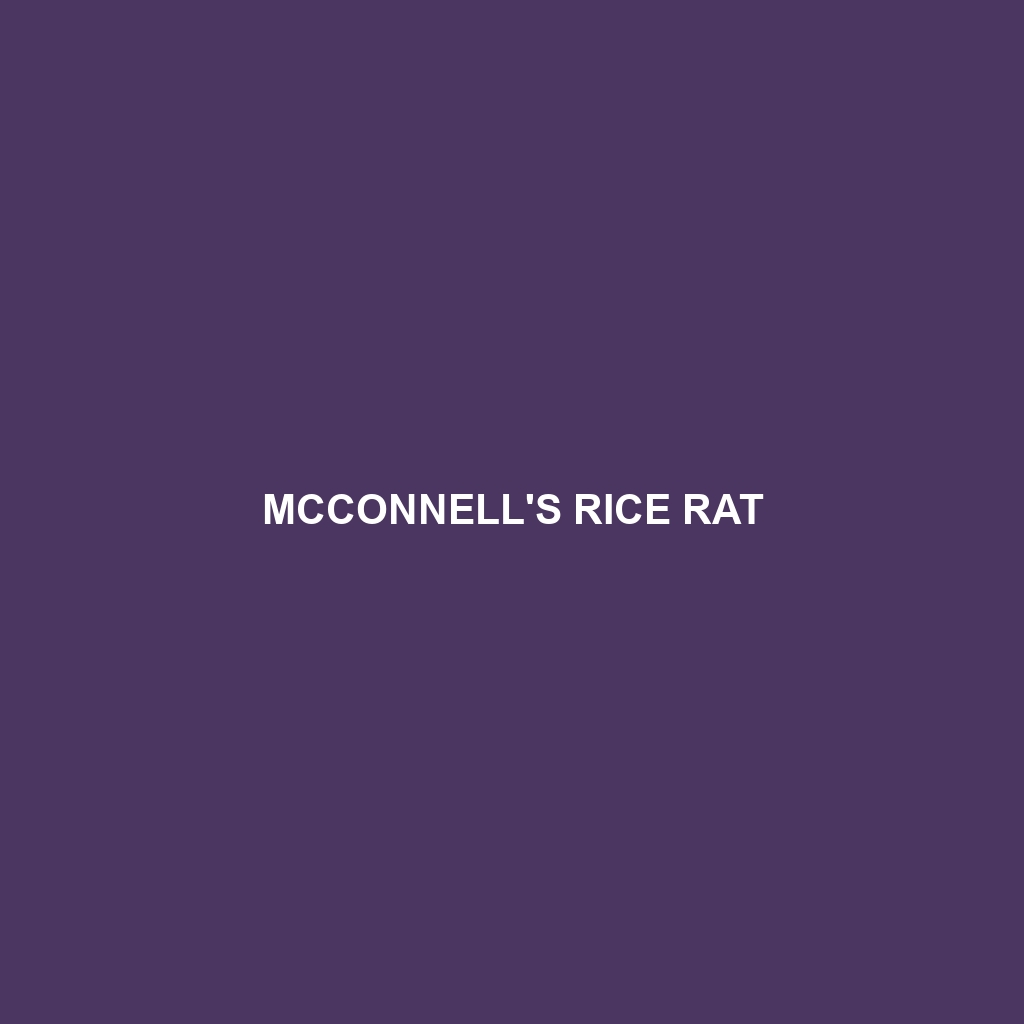 McConnell's Rice Rat