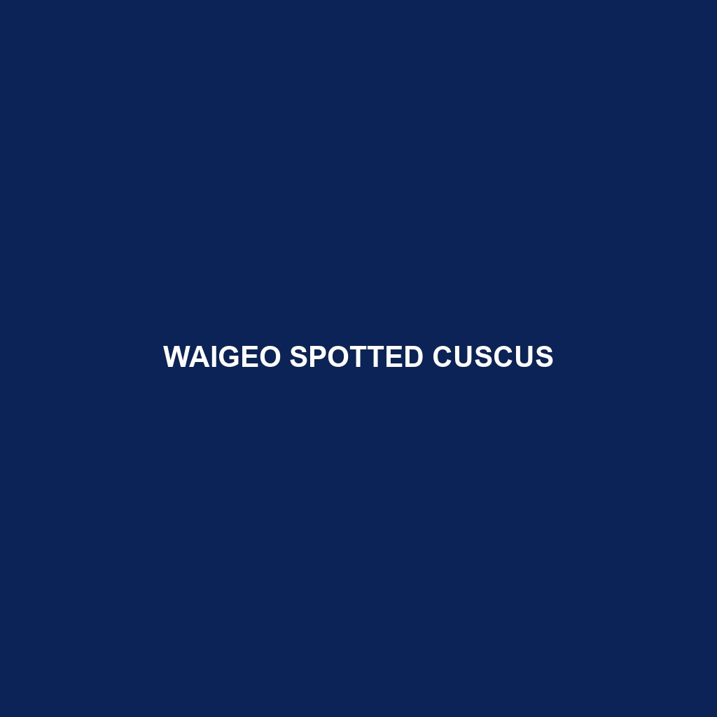 Waigeo Spotted Cuscus