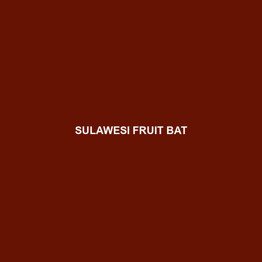 Sulawesi Fruit Bat