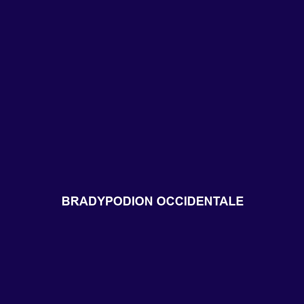 Bradypodion ngomeense