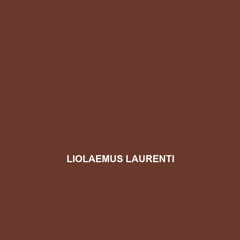 Liolaemus laurenti