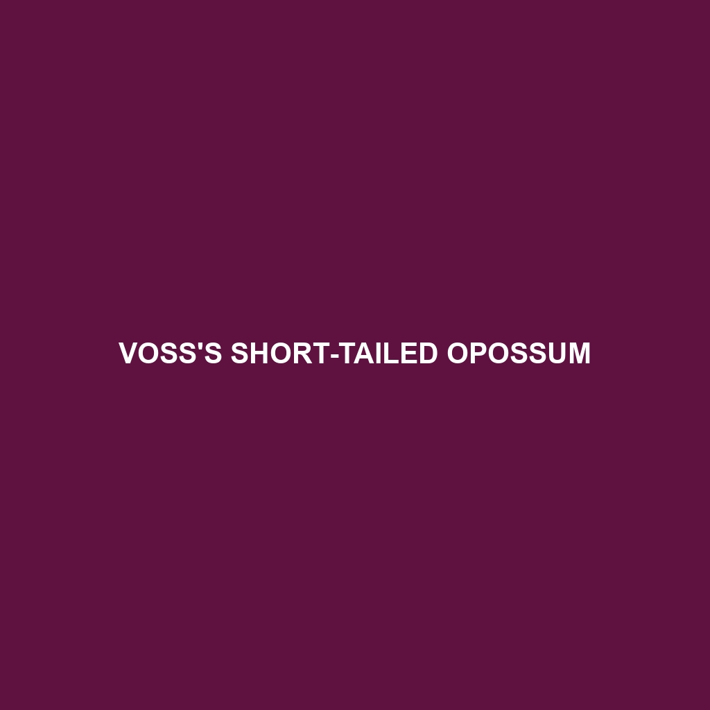 Voss's Short-tailed Opossum