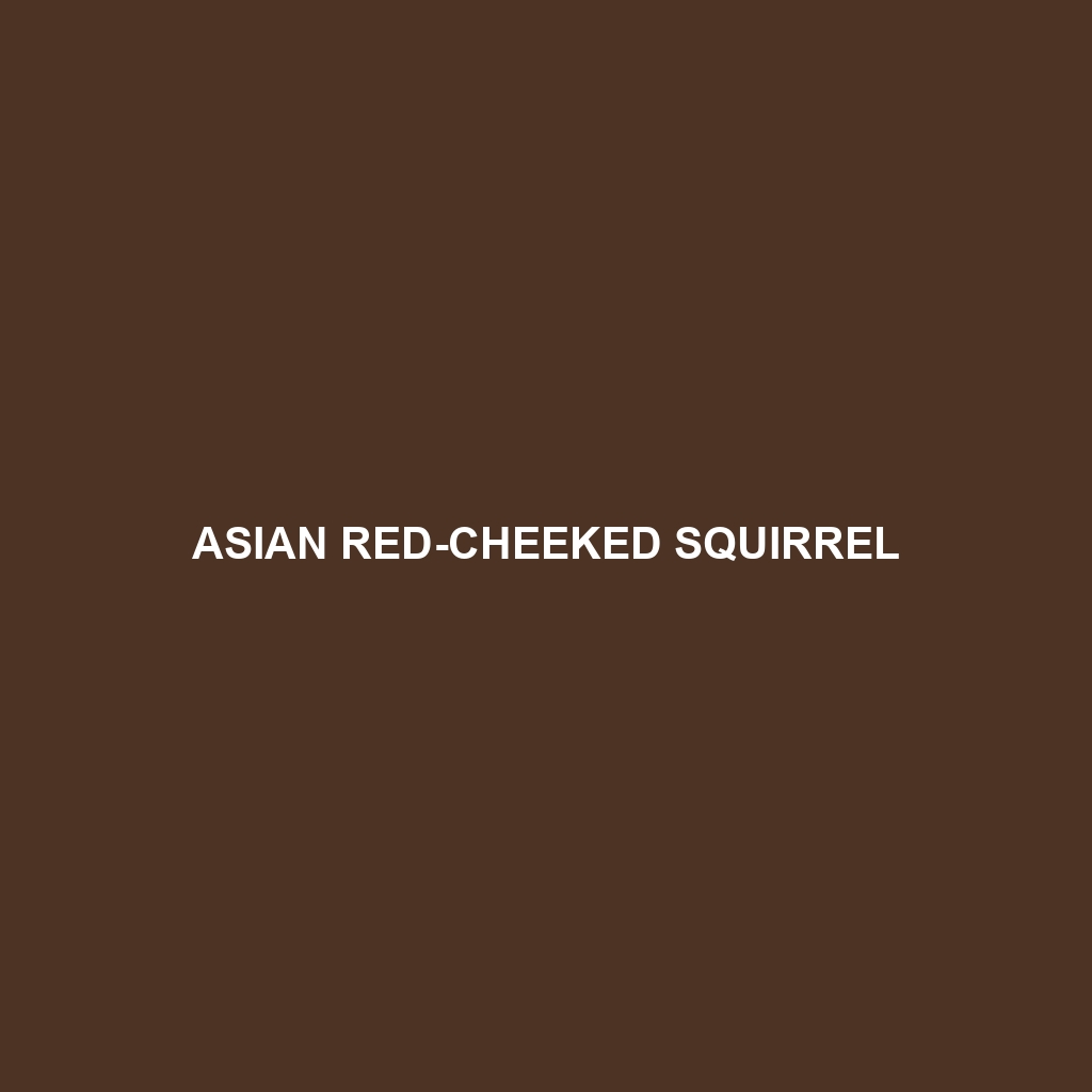 Asian Red-cheeked Squirrel