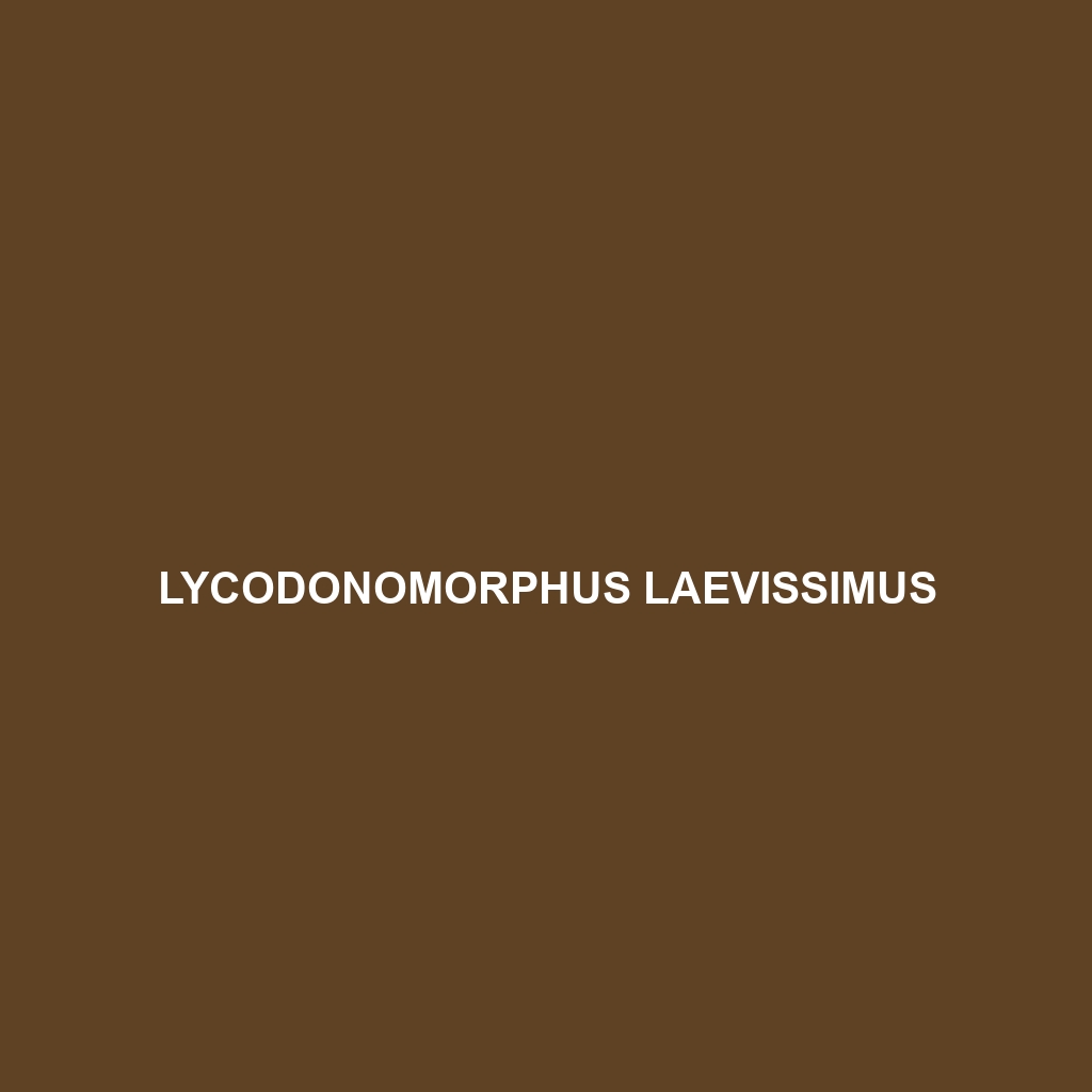 Lycodonomorphus laevissimus