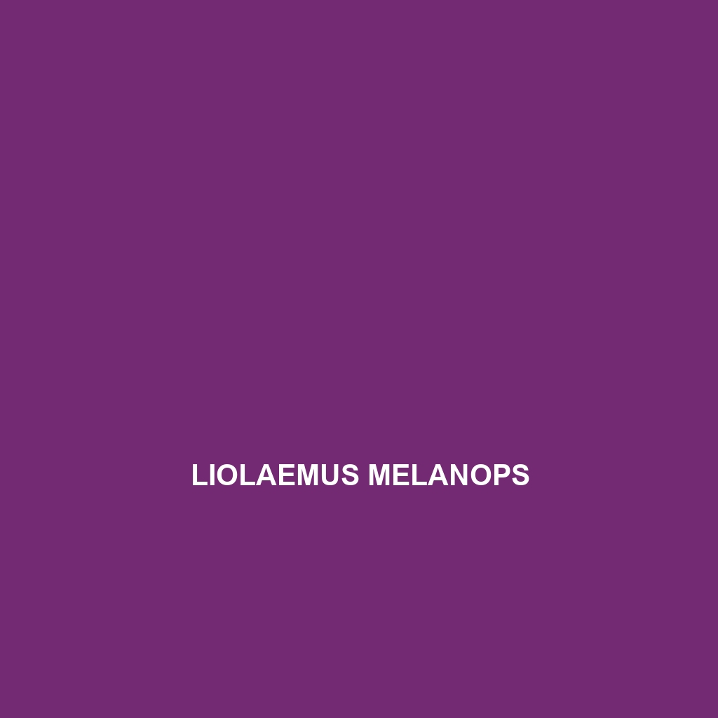 Liolaemus melanops