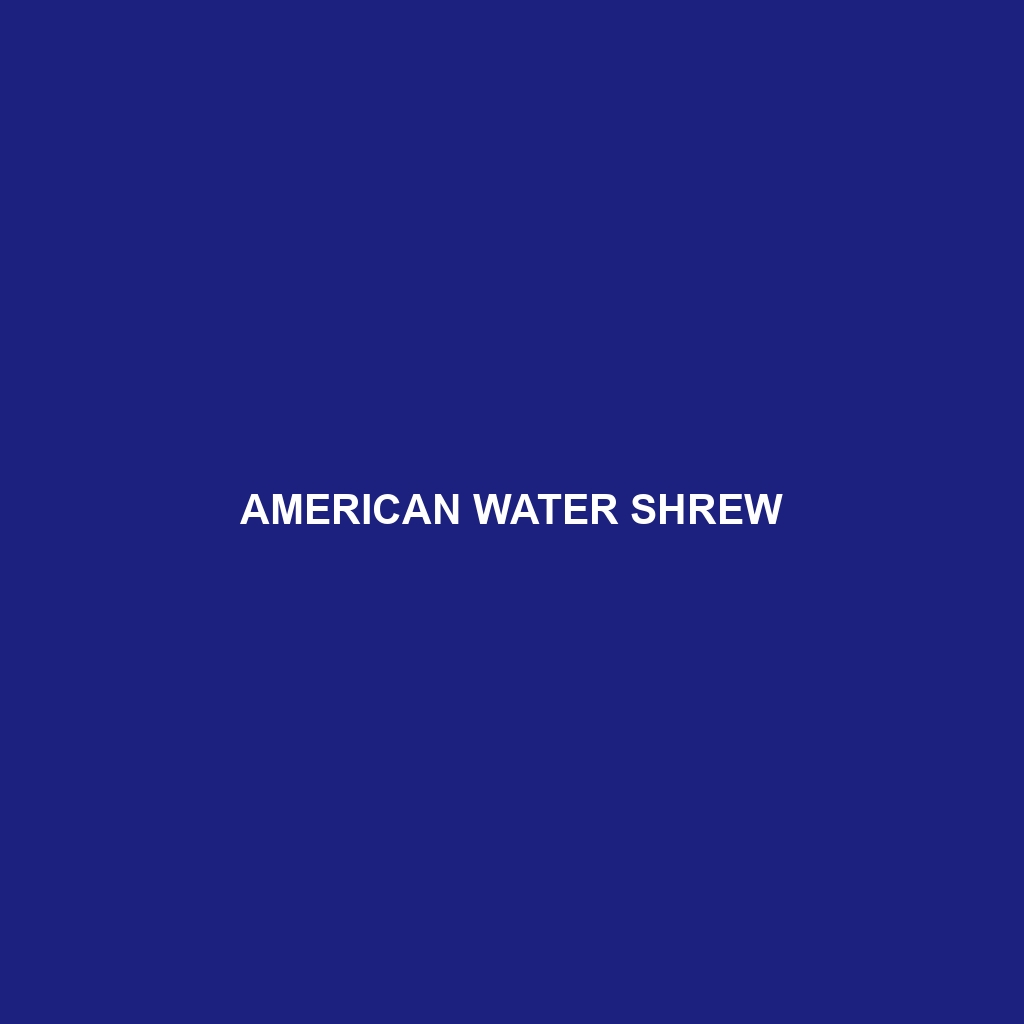 American Water Shrew