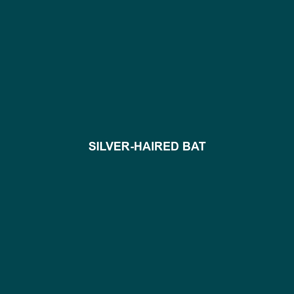 Silver-haired Bat