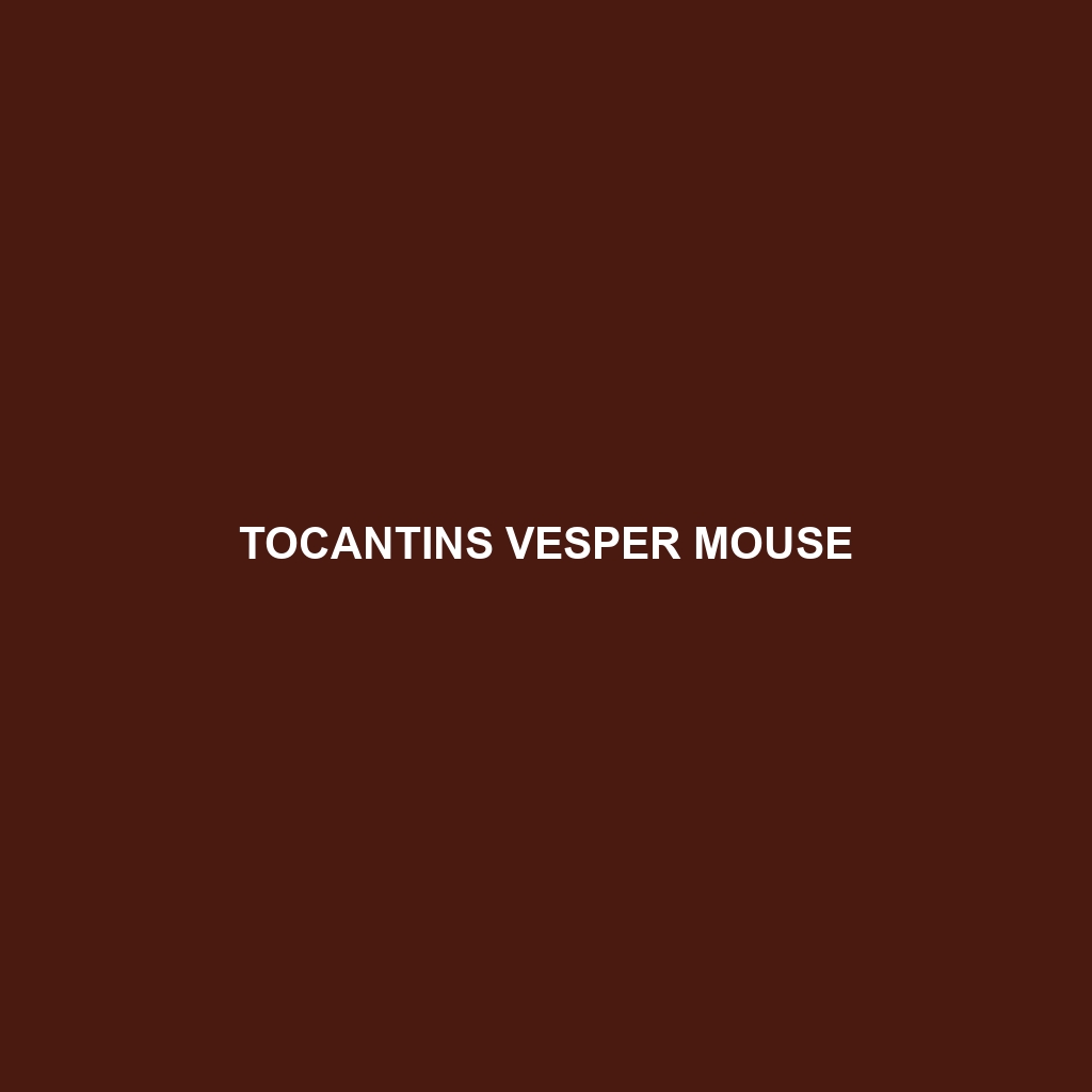 Tocantins Vesper Mouse