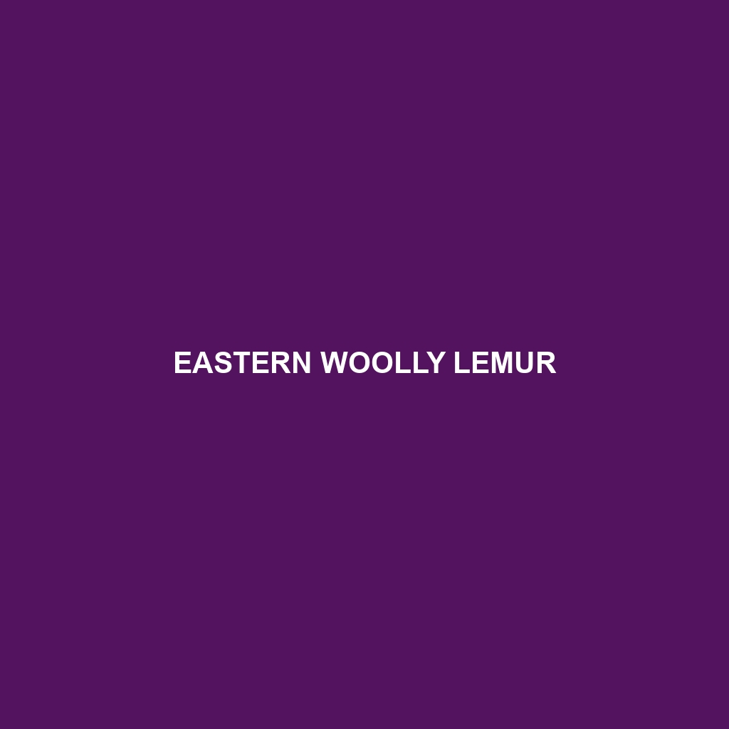 Eastern Woolly Lemur