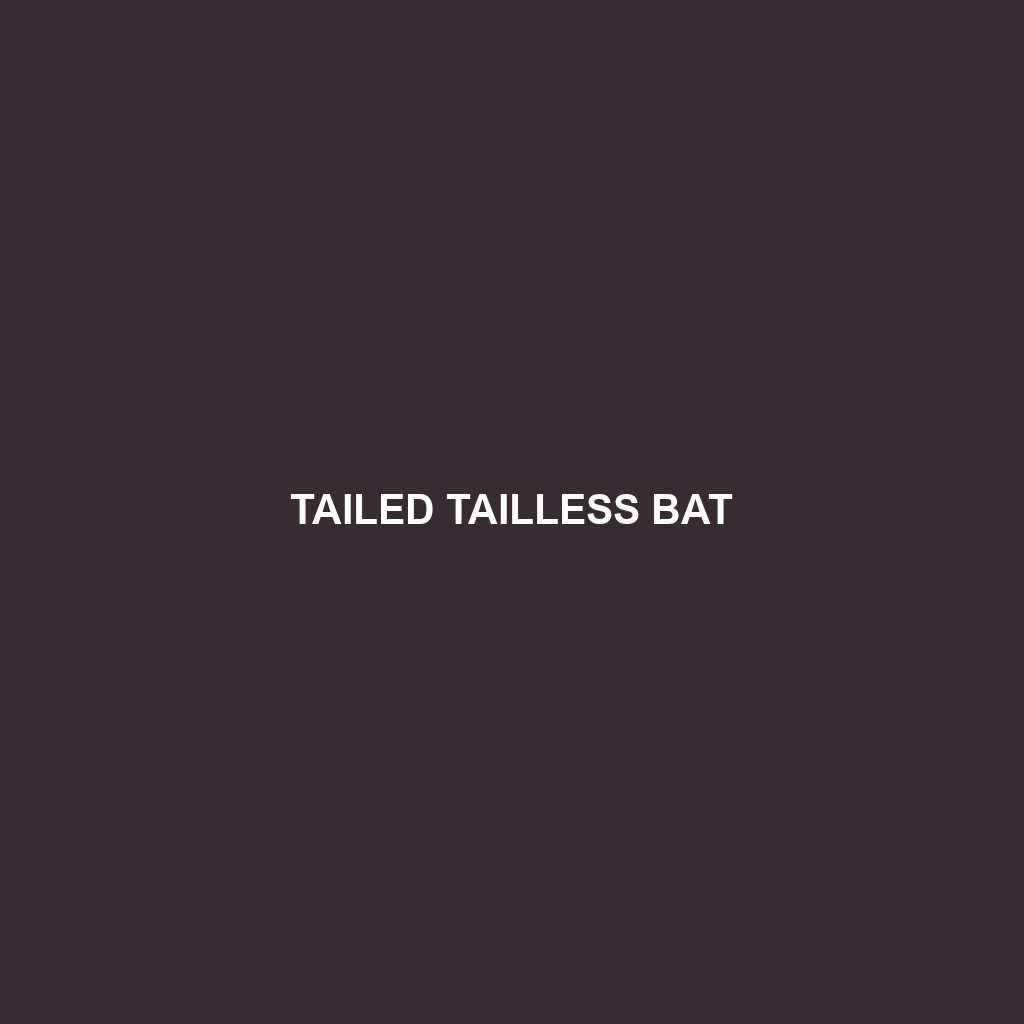 Tailed Tailless Bat