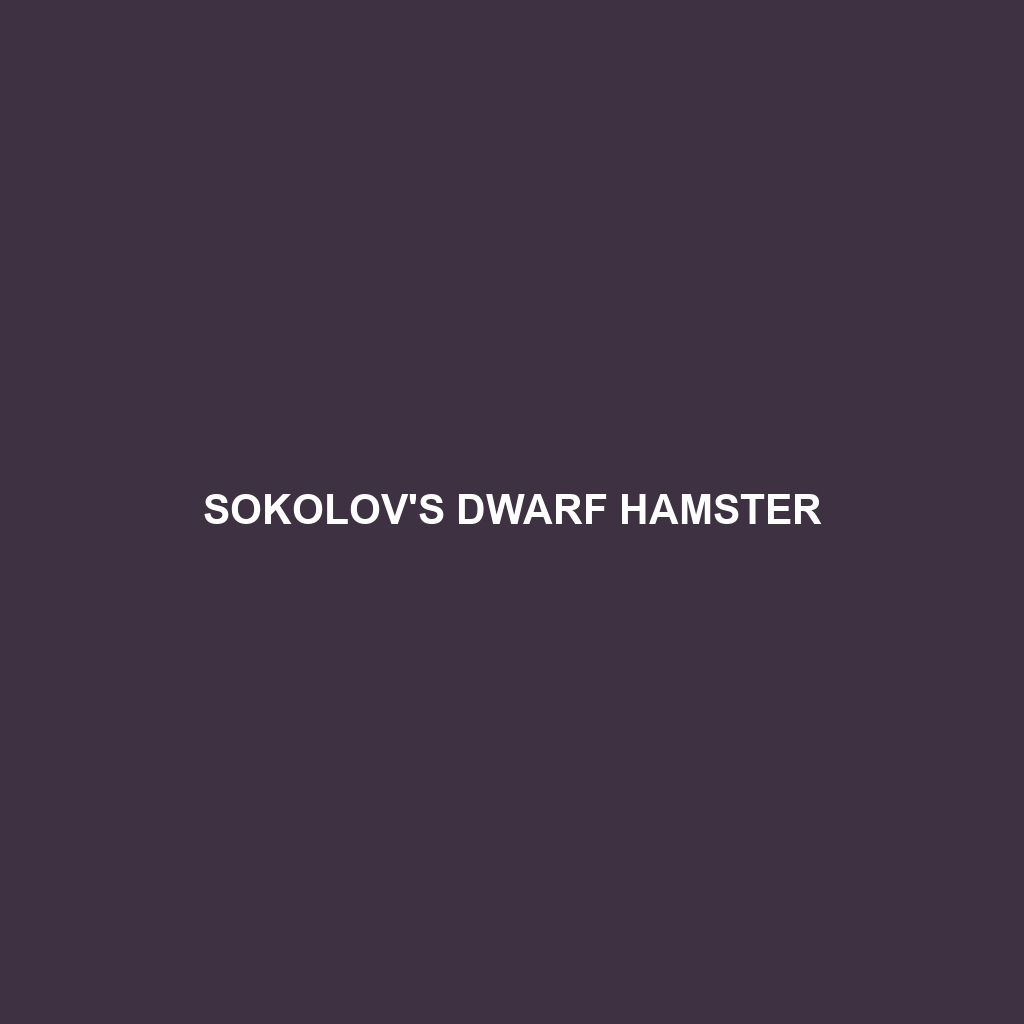 Sokolov's Dwarf Hamster