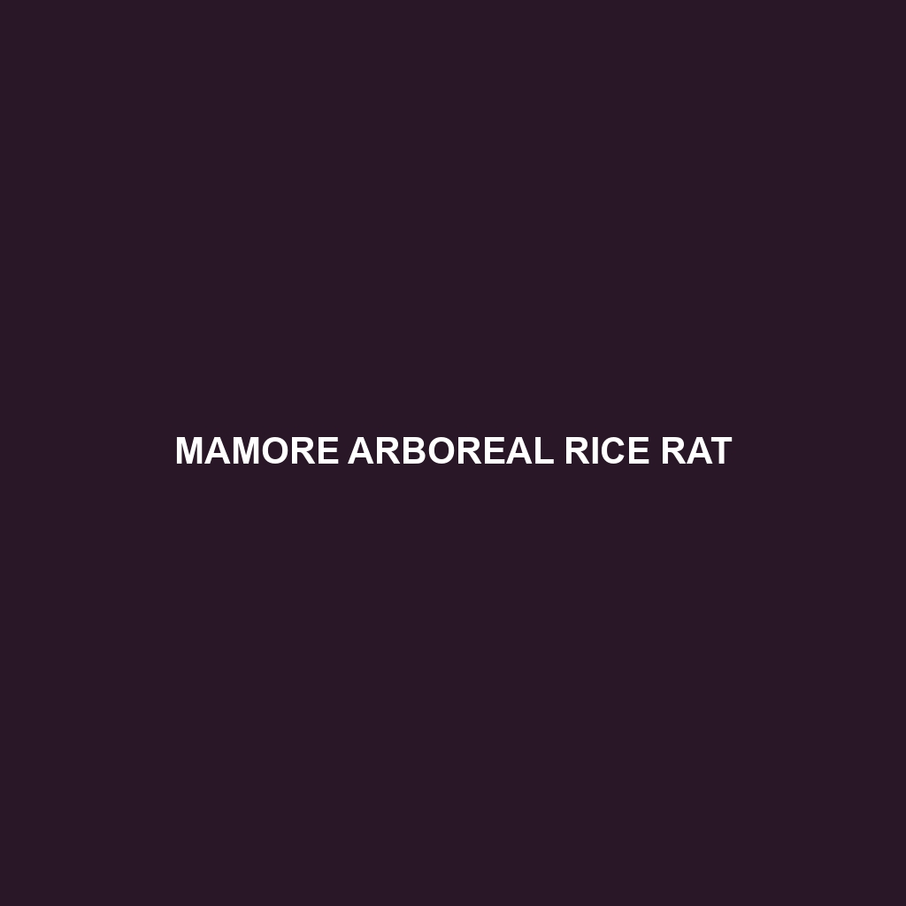 Mamore Arboreal Rice Rat