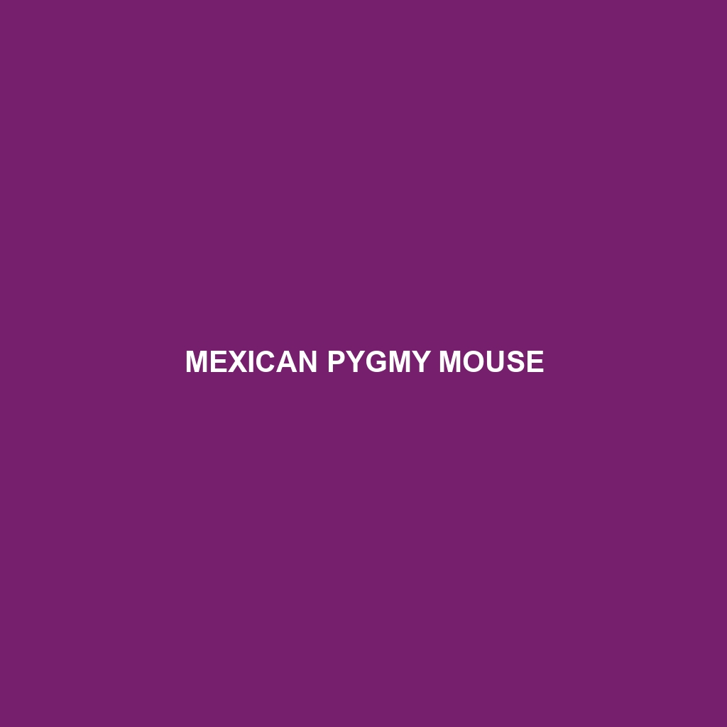 Mexican Pygmy Mouse