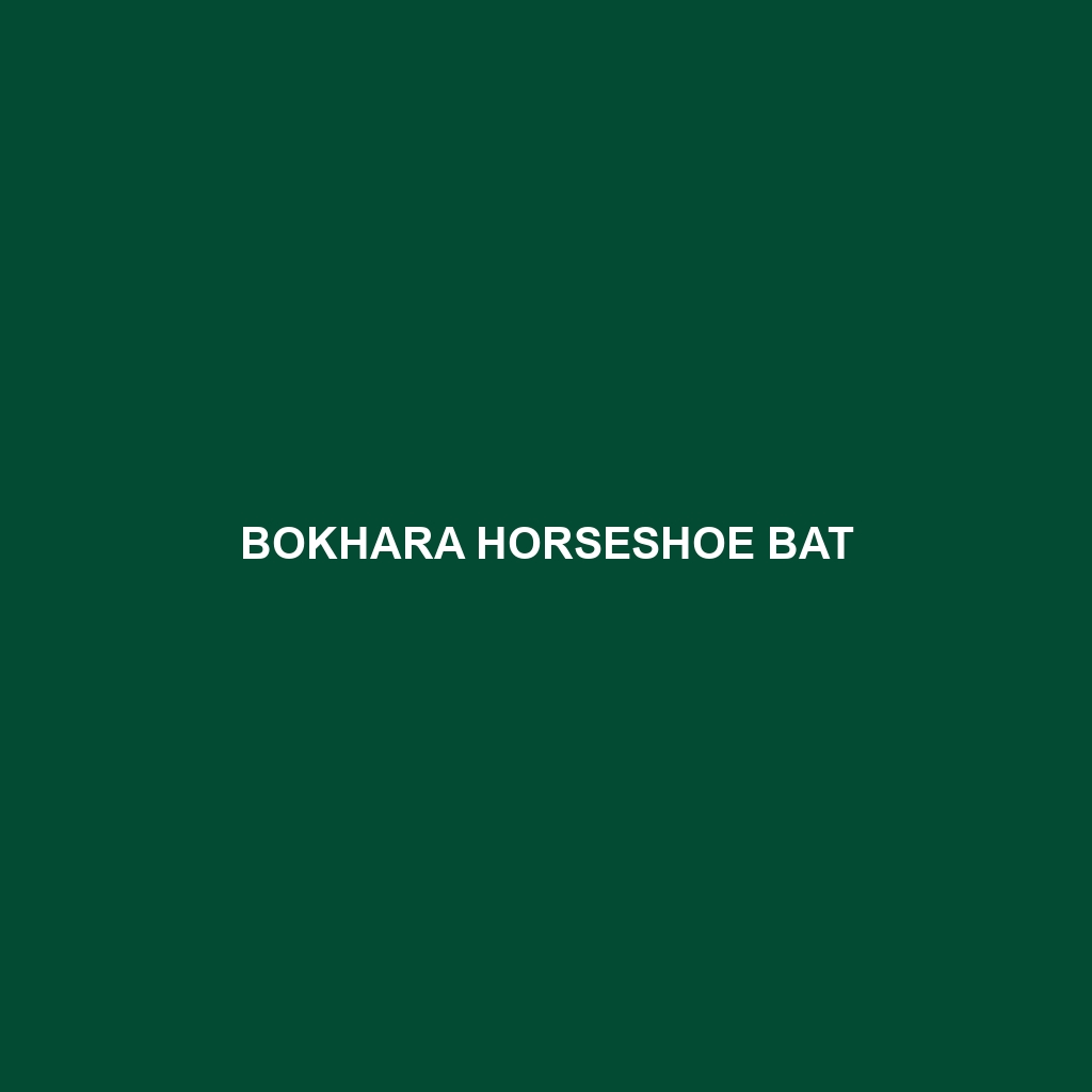 Bokhara Horseshoe Bat