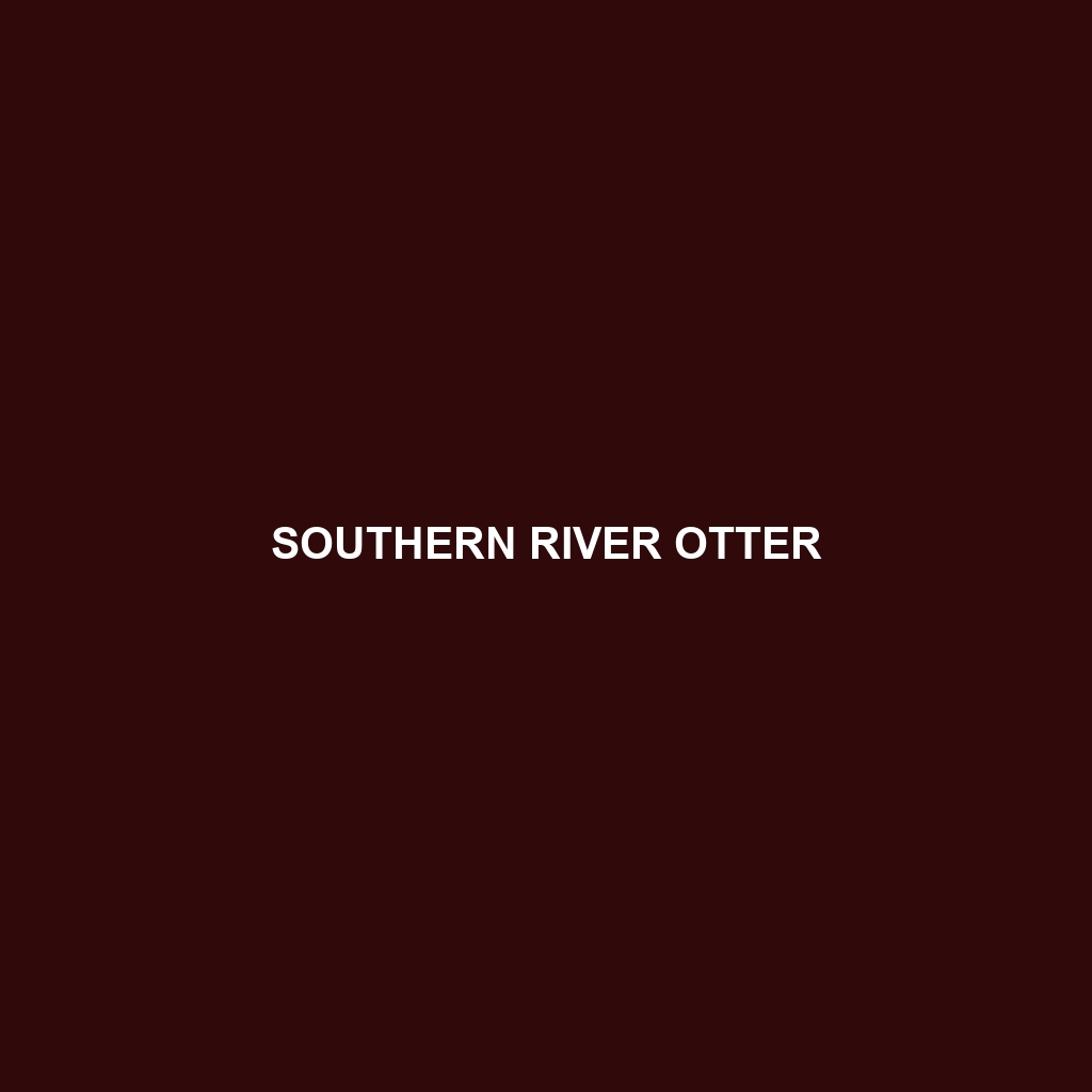 Southern River Otter