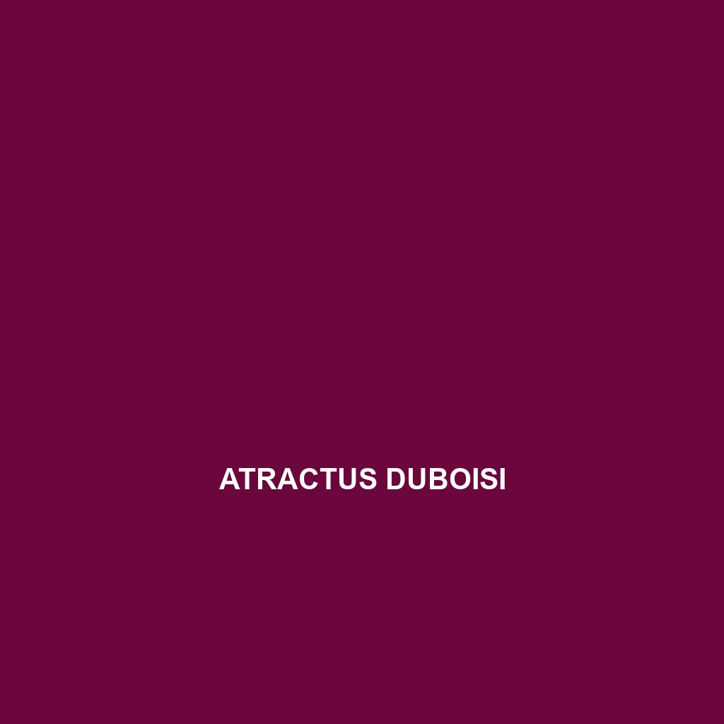 Atractus duboisi