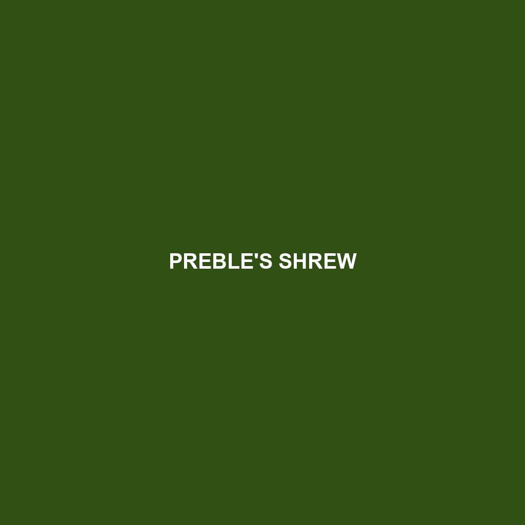 Preble's Shrew