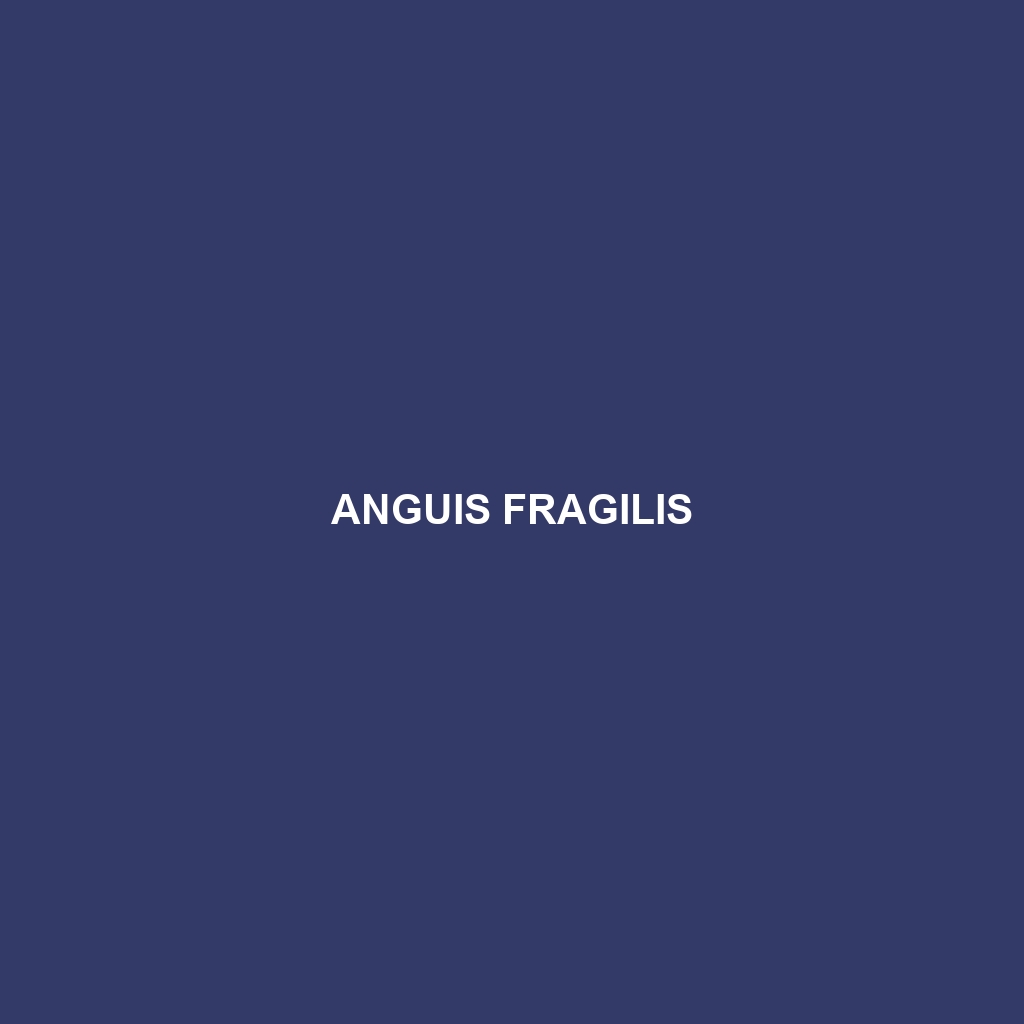 Anguis fragilis