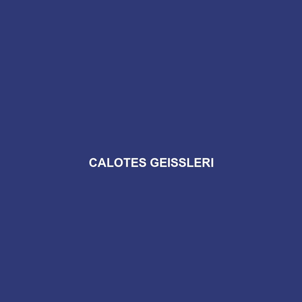 Calotes geissleri