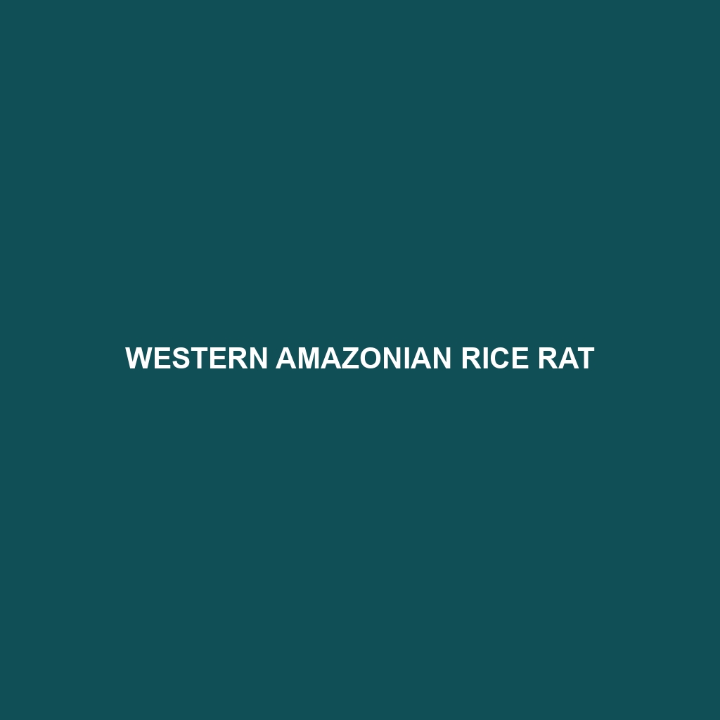 Western Amazonian Rice Rat