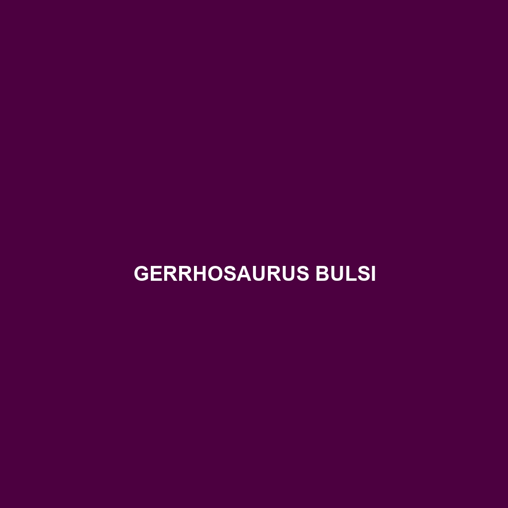 Gerrhosaurus auritus