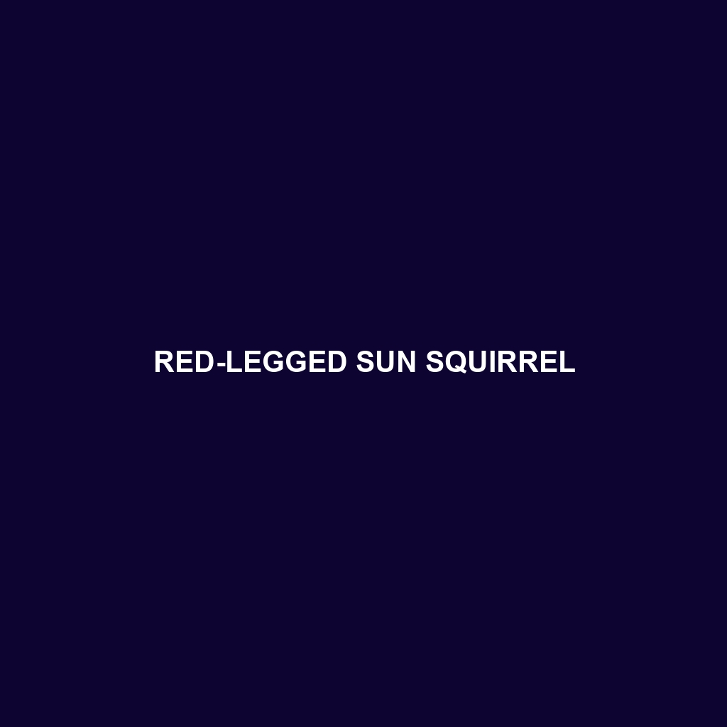 Red-legged Sun Squirrel