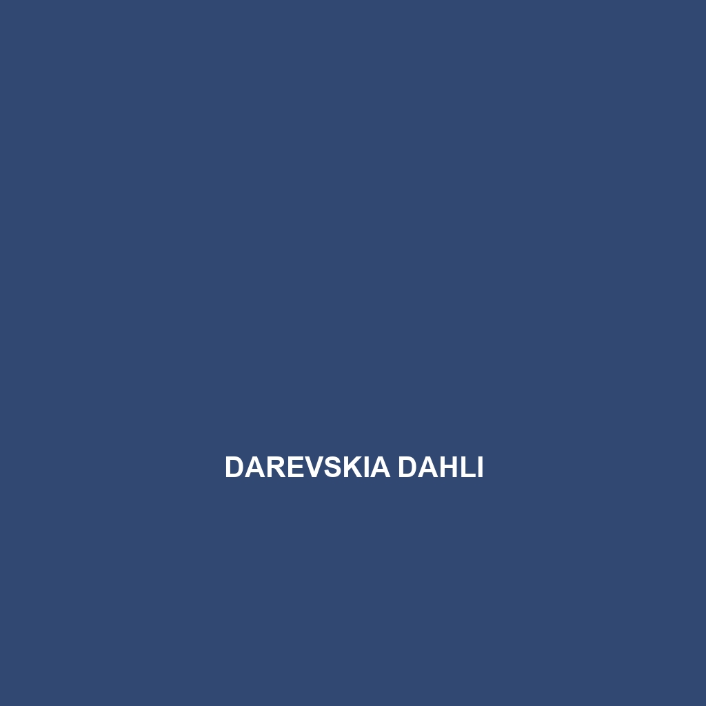 Darevskia daghestanica