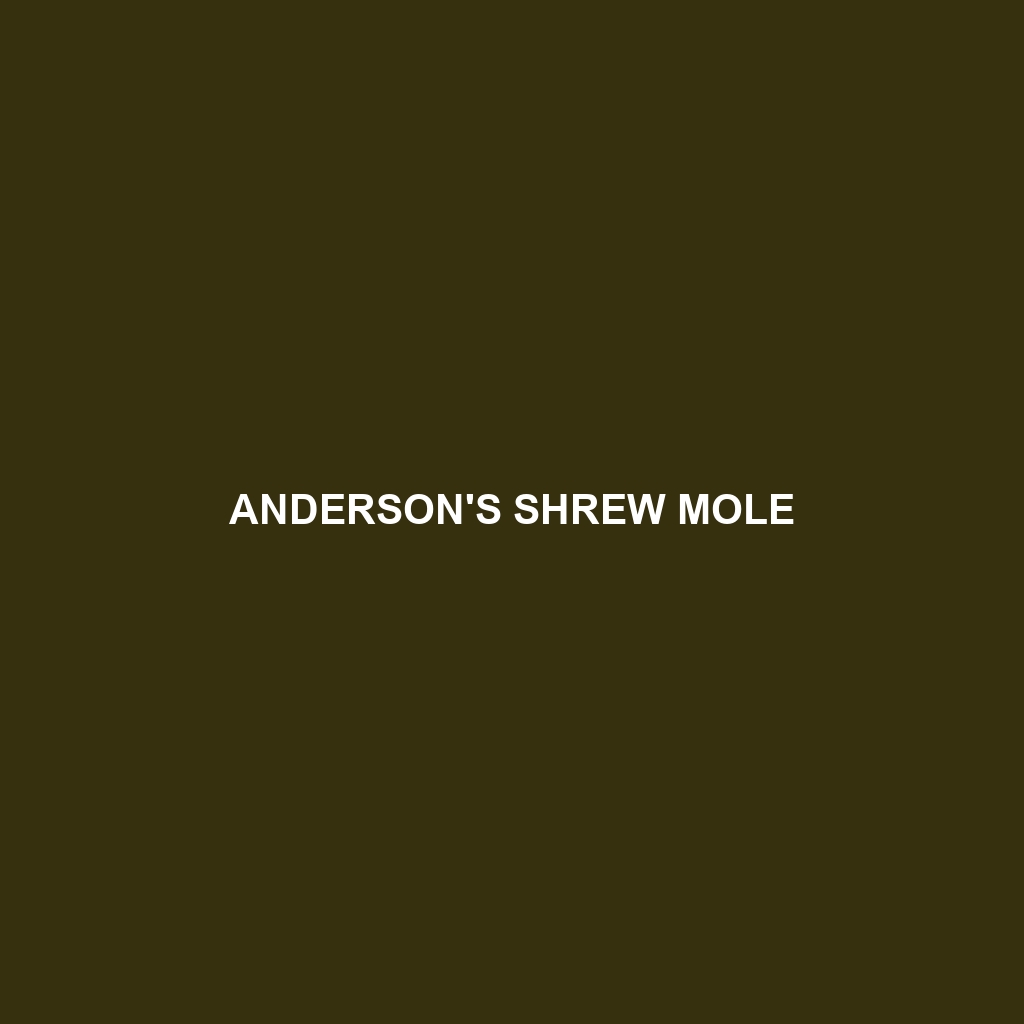 Anderson's Shrew Mole