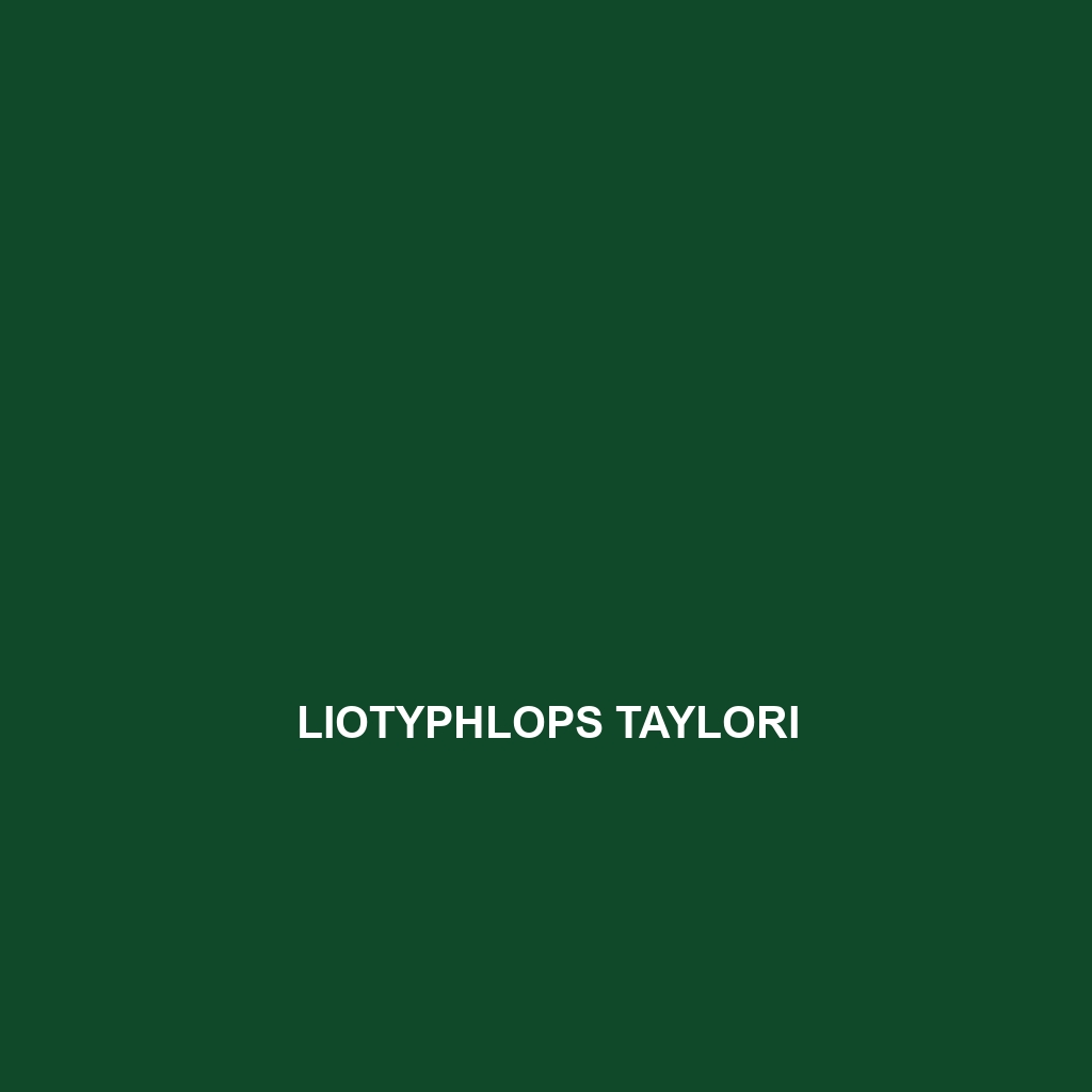 Liotyphlops taylori