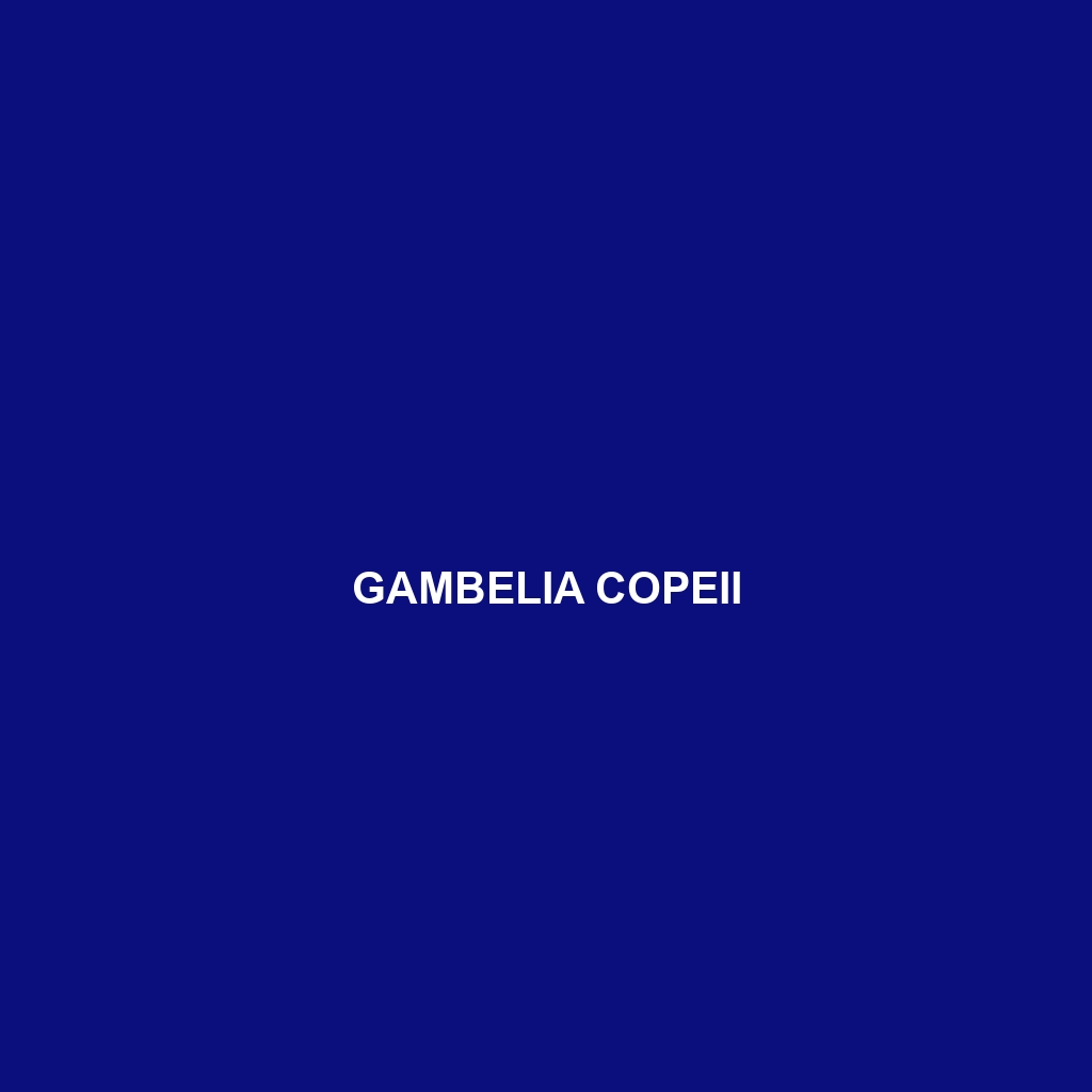 Gambelia copeii