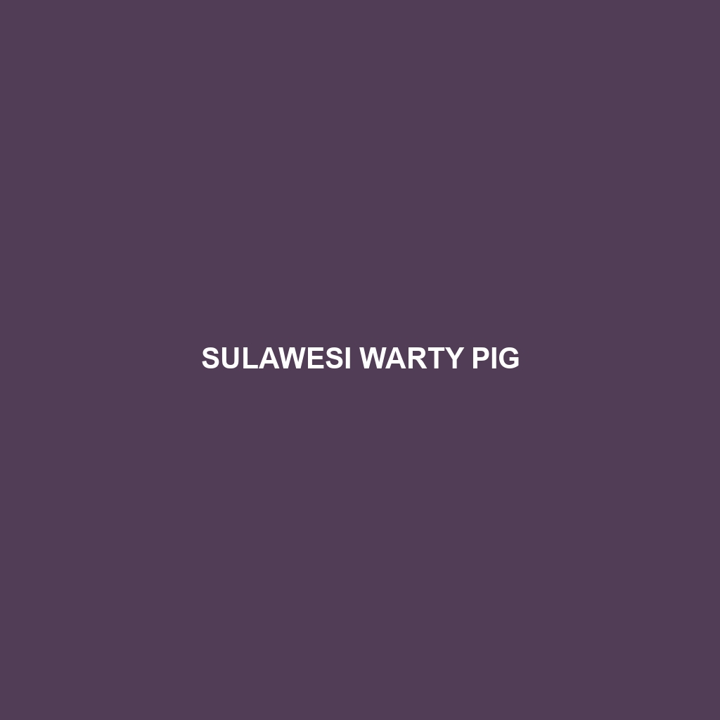 Sulawesi Warty Pig