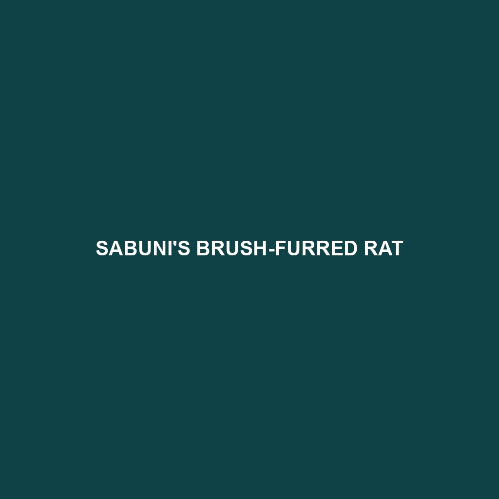 Sabuni's Brush-furred Rat