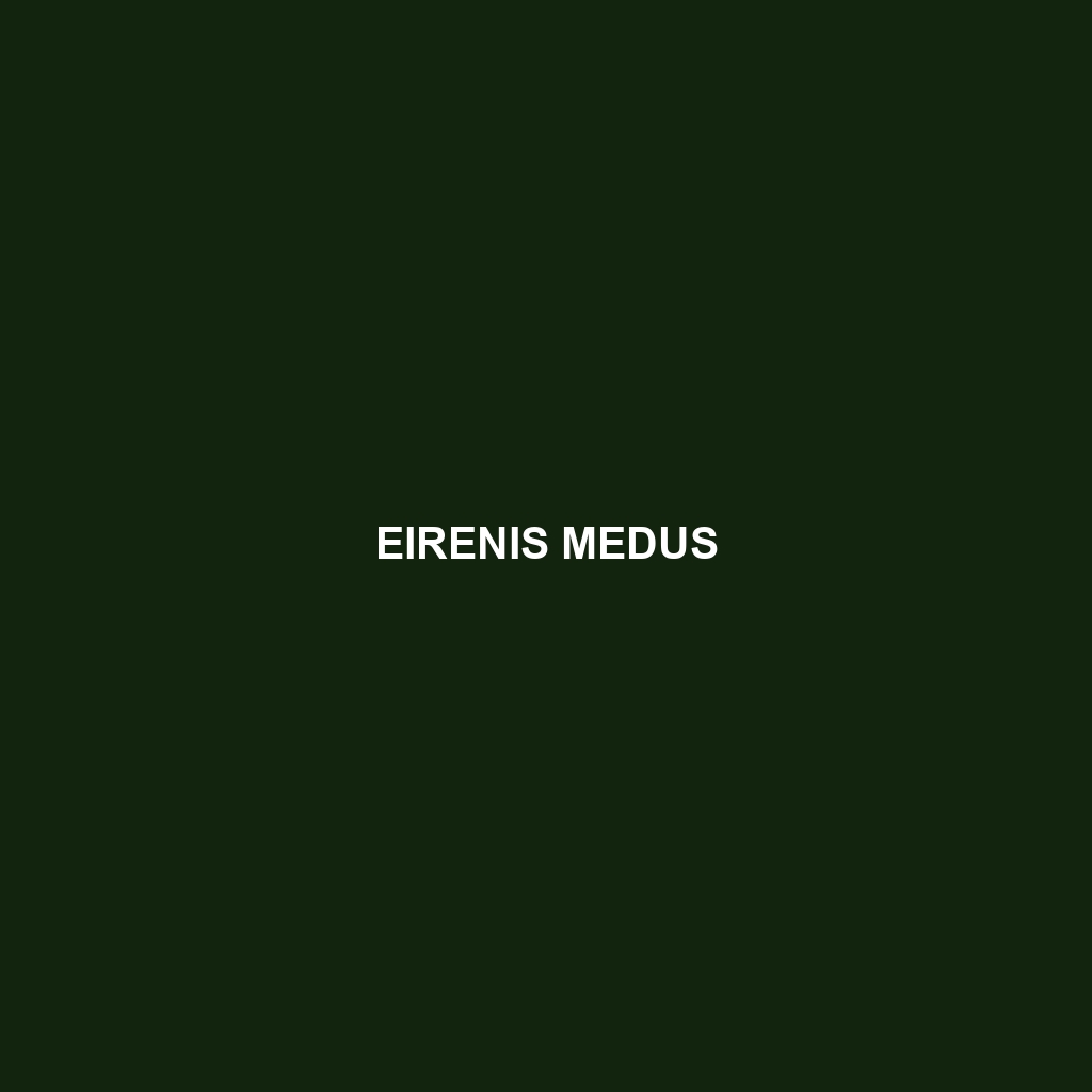 Eirenis medus