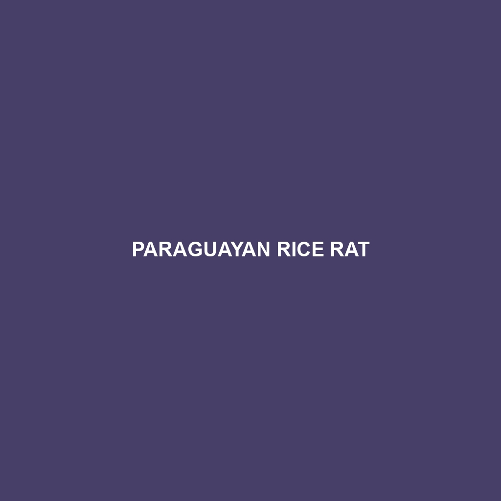 Paraguayan Rice Rat