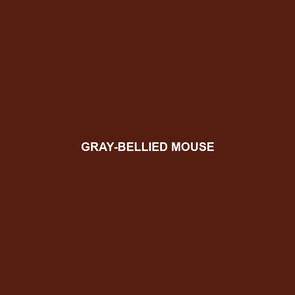 Gray-bellied Mouse