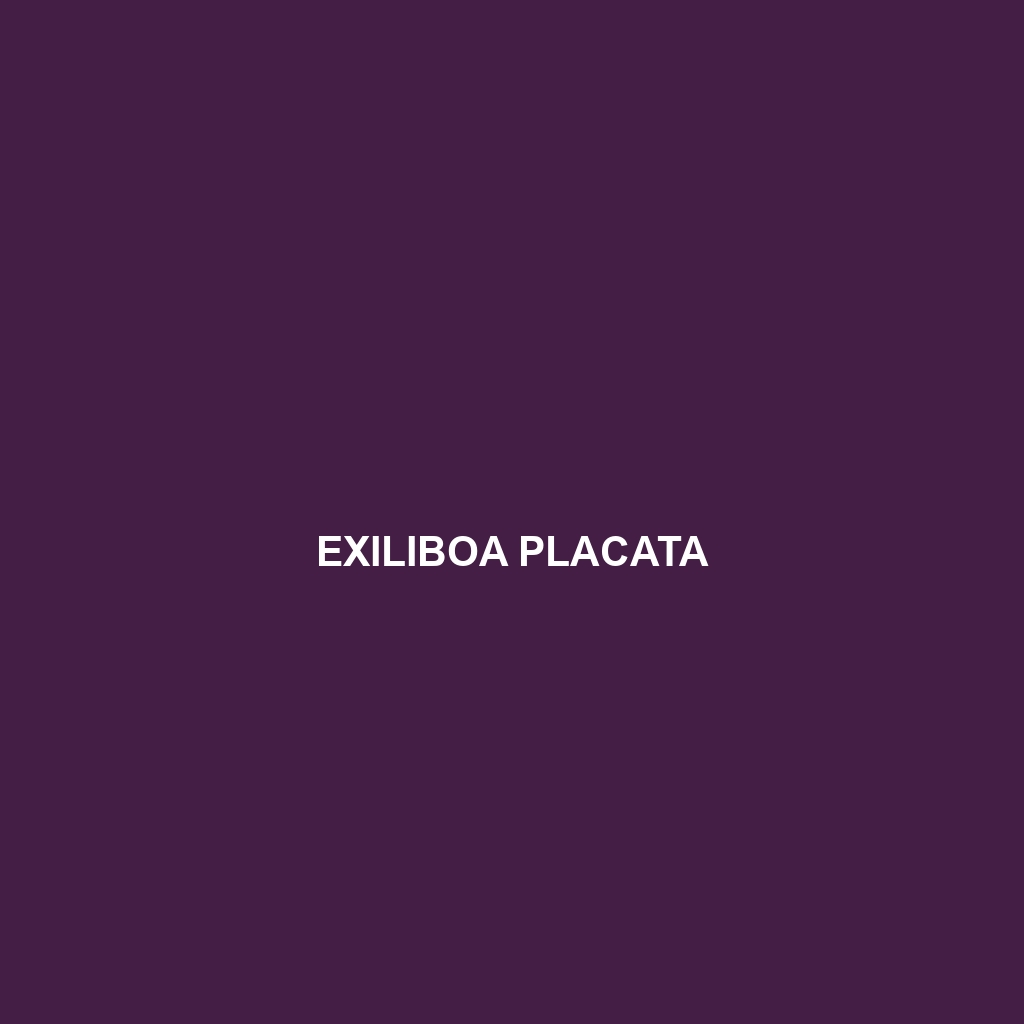 Exiliboa placata