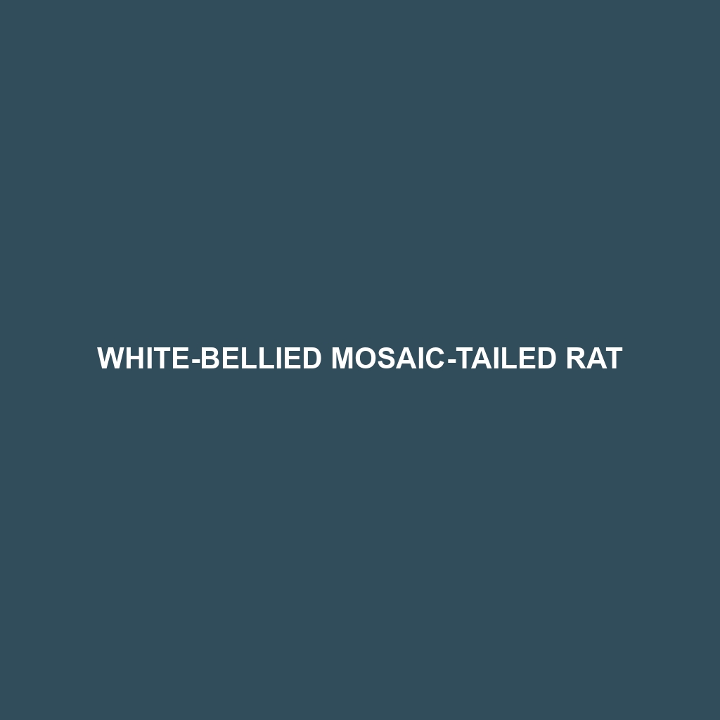 White-bellied Mosaic-tailed Rat