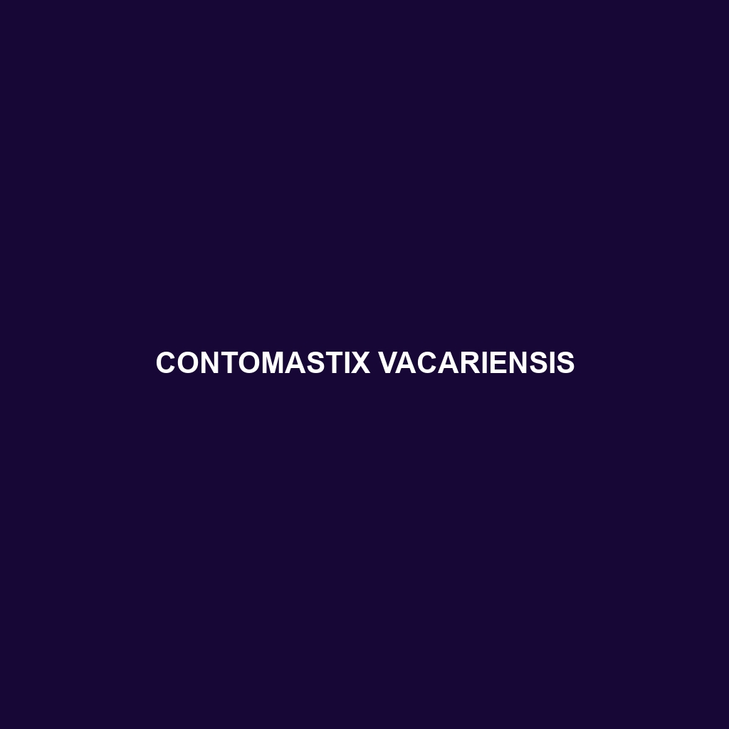 Contomastix vacariensis