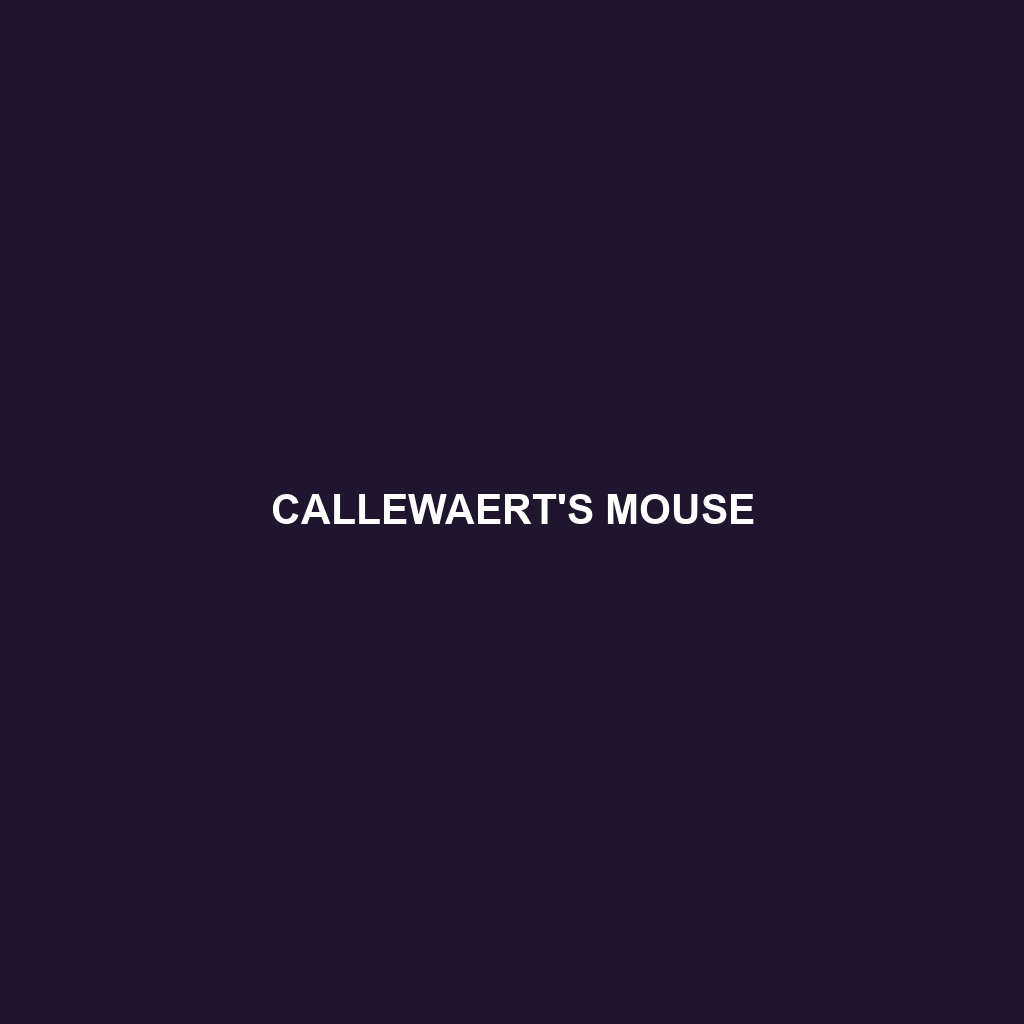 Callewaert's Mouse