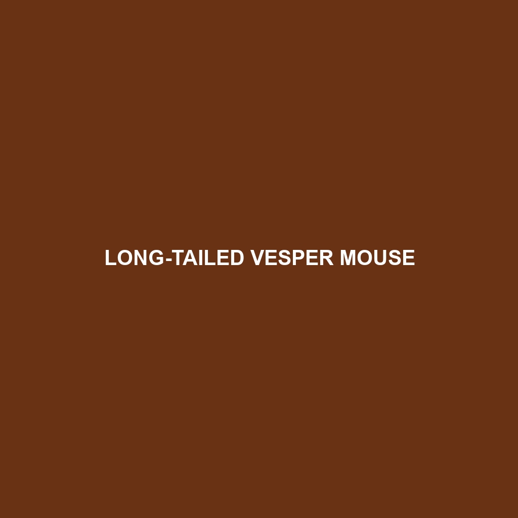 Coastal Vesper Mouse