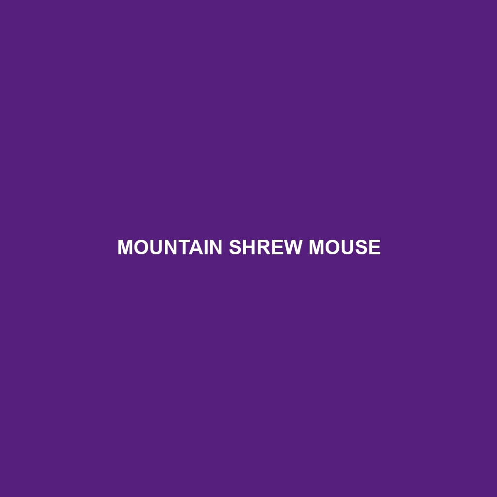 Mountain Shrew Mouse