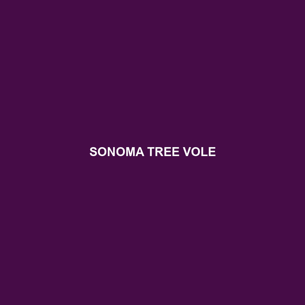 Sonoma Tree Vole