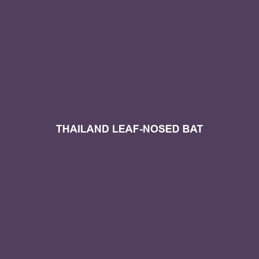 Thailand Leaf-nosed Bat